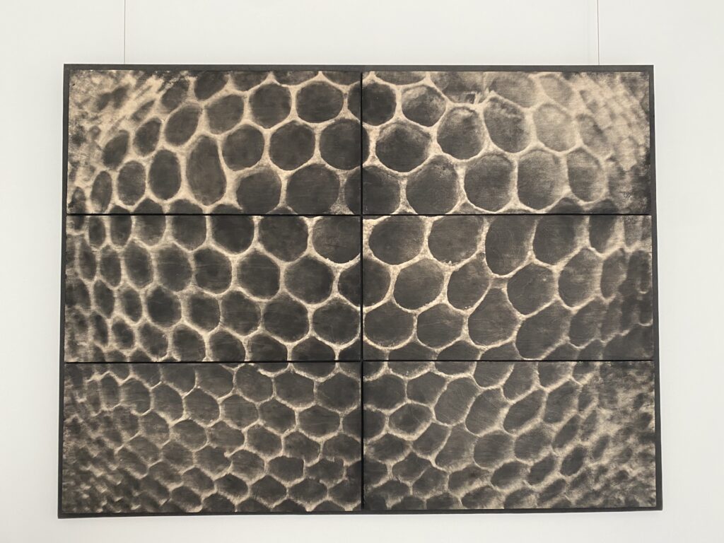 Paperlithographyonwood- Honeycomb